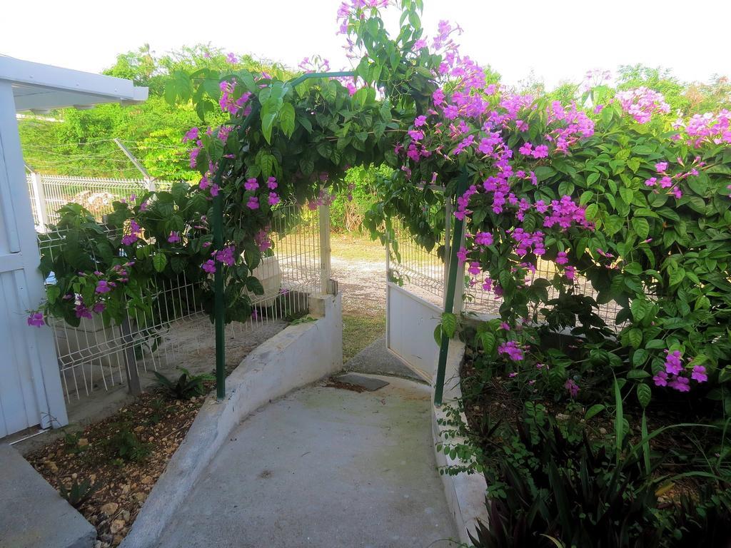 Bungalow Soleil Sainte-Anne  Ngoại thất bức ảnh